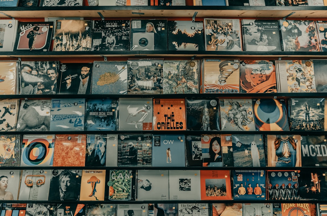 Photo Vinyl record shelves